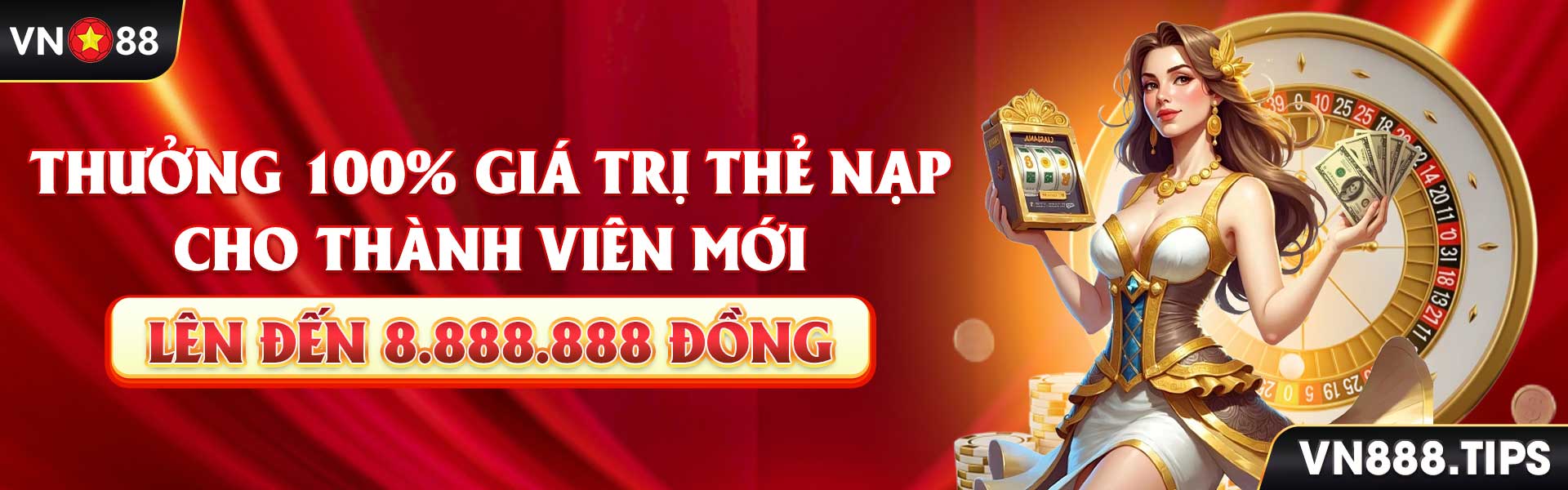 Banner VN88